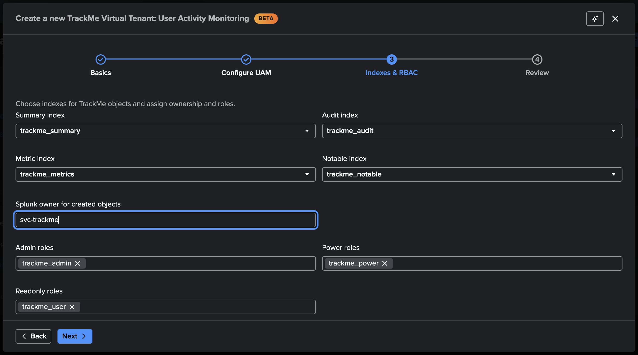 The Indexes & RBAC step — the tenant indexes, the dedicated service-account owner and the roles